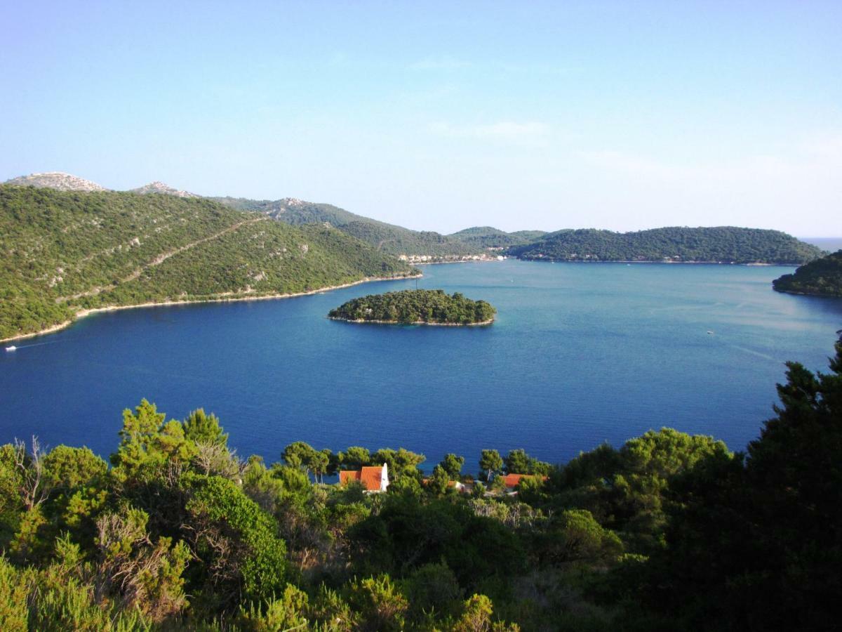 Apartments Luza Lastovo Extérieur photo